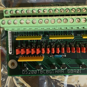 GE DS200TBCBG1A DS200TBCBG1AAA Sonlandırma Analog Kartı