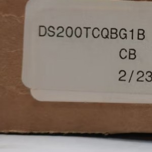 GE DS215TCQBG1BZZ01A(DS200TCQBG1BBA) Primera placa de E/S analógica