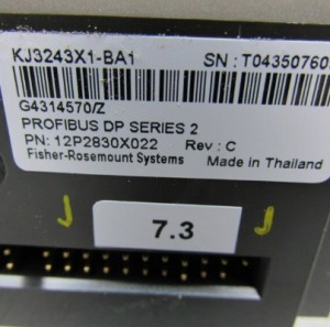 Emerson KJ3243X1-BA1 12P2830X022 PROFIBUS DP CARD