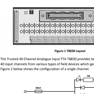 ICS Triplex T8830 विश्वसनीय 40 च्यानल एनालग इनपुट FTA